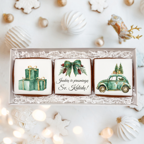 „Žiemos pasaka Nr. 3" dekoruotų meduolių rinkinys