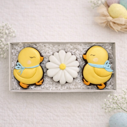 „Jau Velykos Nr. 5" - dekoruotų meduolių rinkinys