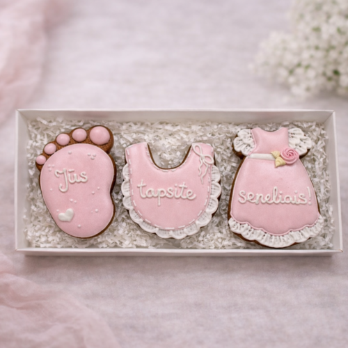 „Jūs tapsite seneliais Nr. 3" dekoruotų meduolių rinkinys